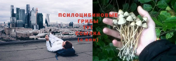 альфа пвп Алексеевка