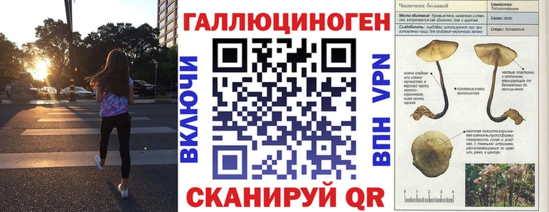 Галлюциногенные грибы GOLDEN TEACHER  blacksprut сайт  Данилов 